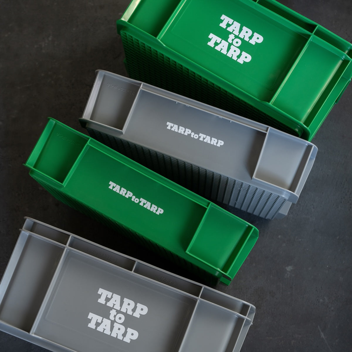 TARPtoTARP ORIGINAL_Daily Box  regular