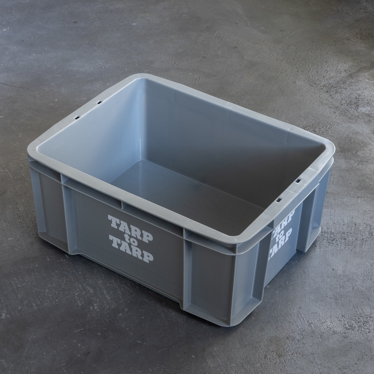 TARPtoTARP ORIGINAL_Daily Box  large
