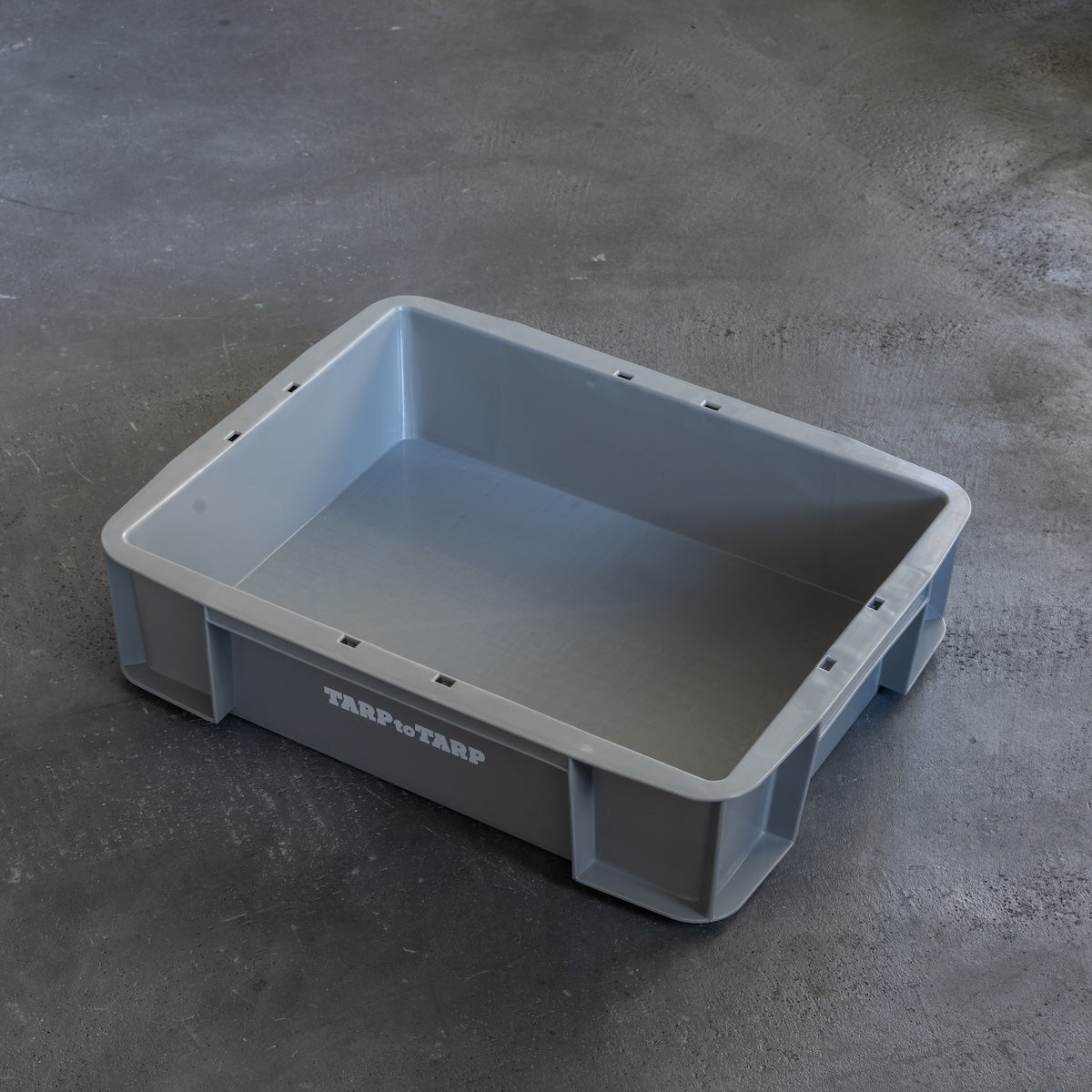 TARPtoTARP ORIGINAL_Daily Box  regular