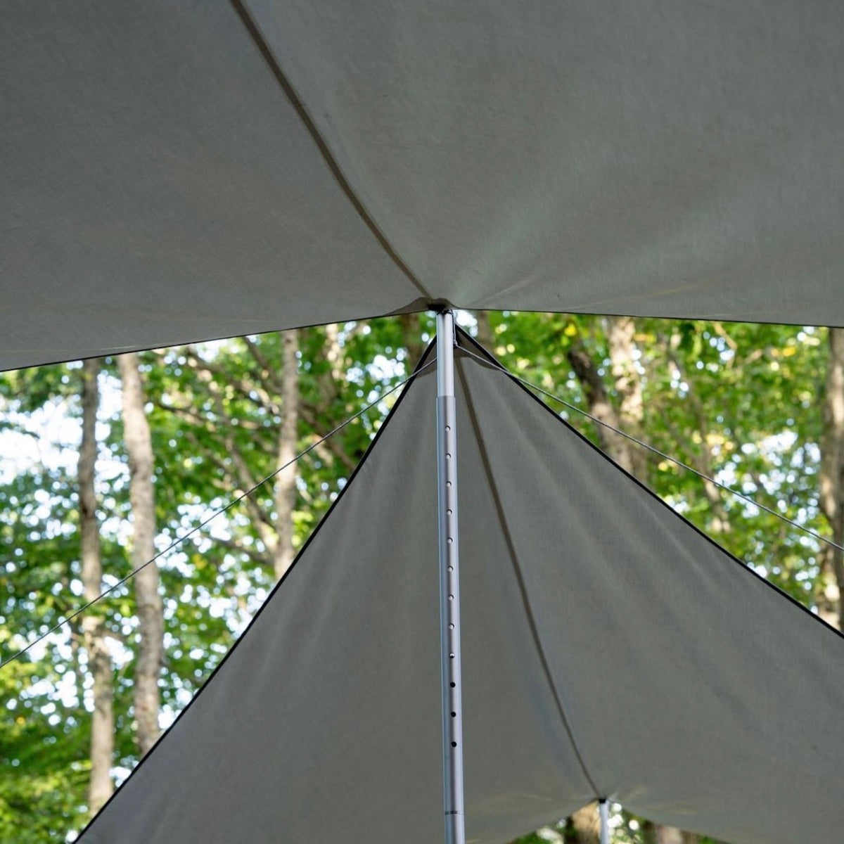 TARPtoTARP ORIGINAL_TARP WING