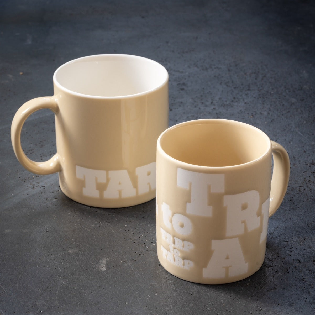 TARPtoTARP ORIGINAL _TARP MUG Regular
